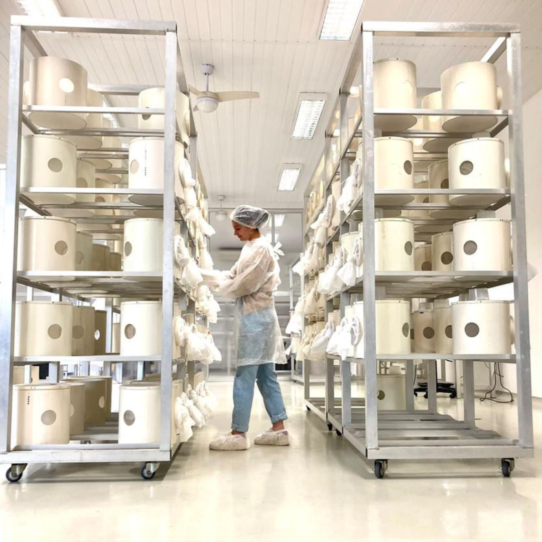 Imagem da estrutura física da Moscamed