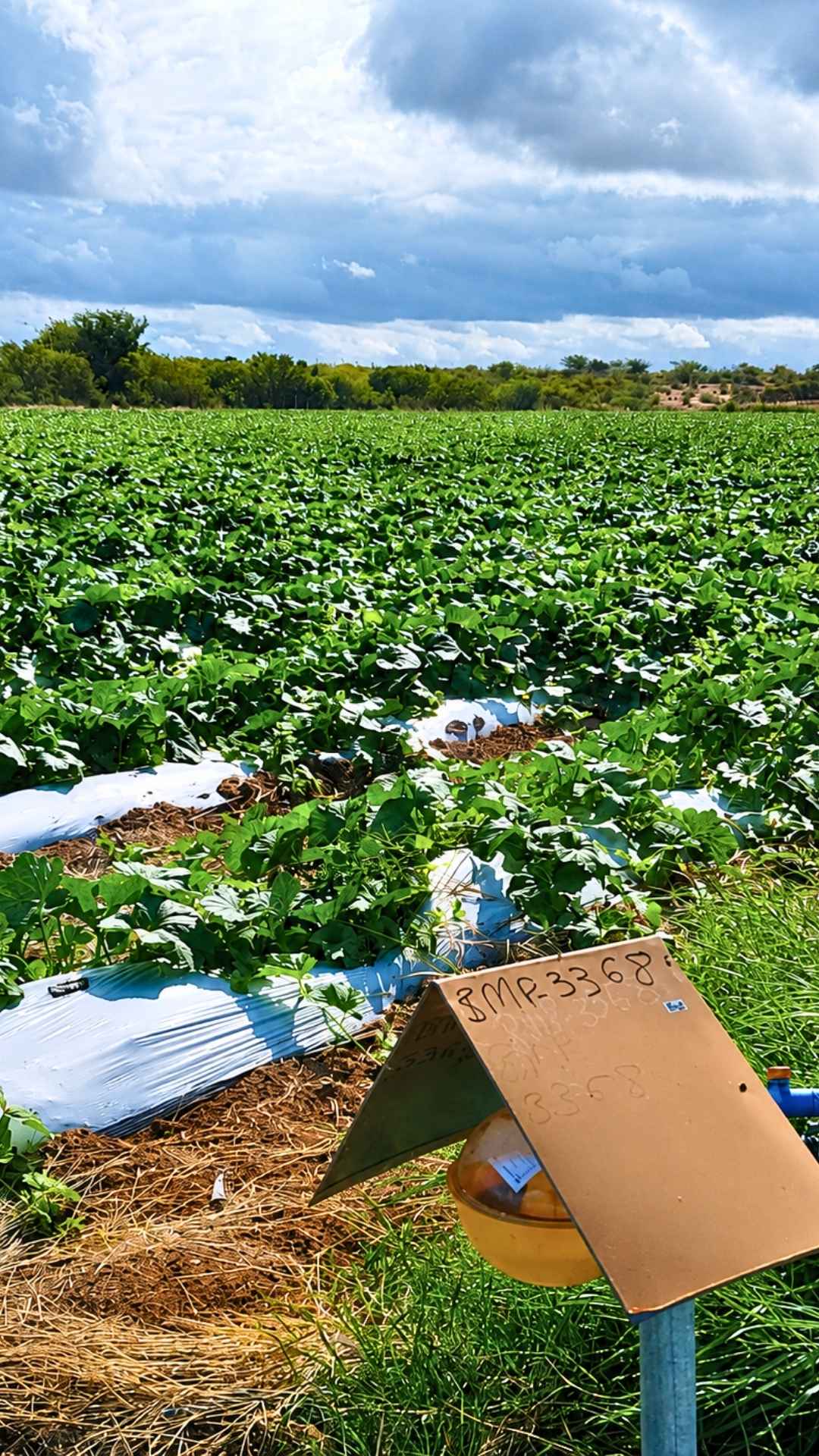 Imagem de capa da notícia