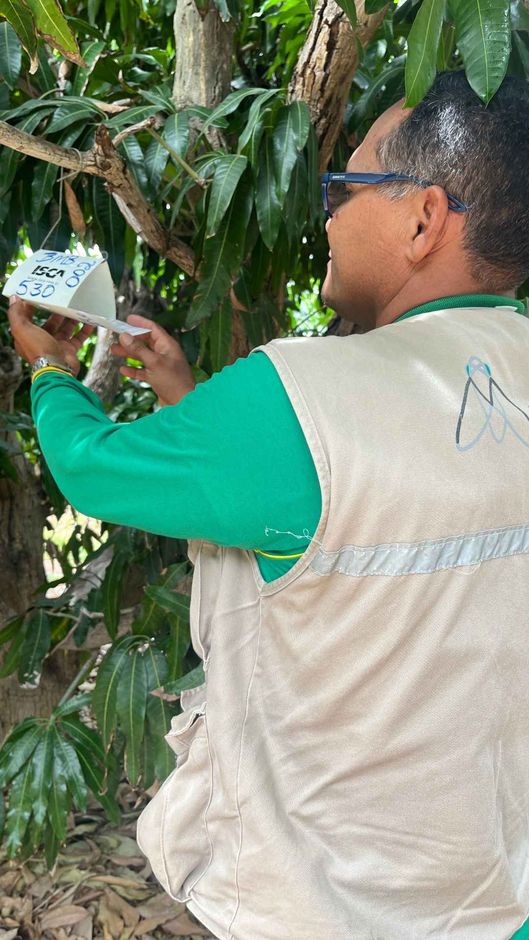 Imagem de capa da notícia