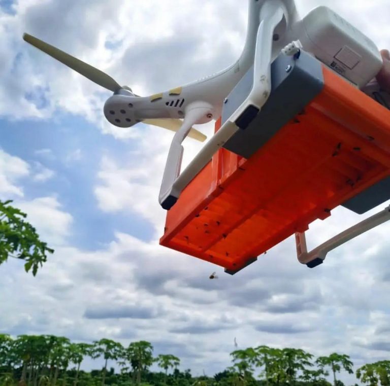 Combate a moscas-das-frutas é destaque no programa Bahia Rural do último dia 21/11. Assista!