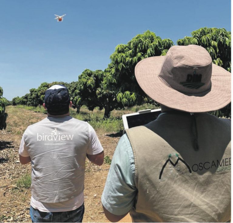 Tecnologia é aliada dos agricultores para combater a mosca das frutas – Jornal a tarde 29/11/2021.